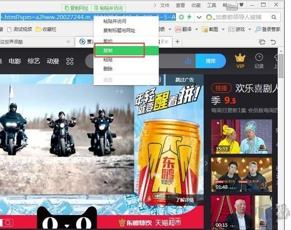 視頻下載王