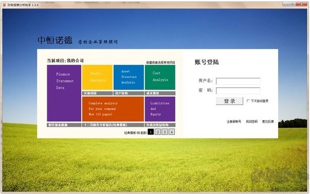 財務報表分析助手