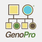 家譜族譜制作軟件GenoPro 2019 v3.01中文版