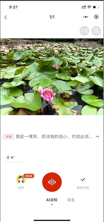最強文字轉語音軟件[微軟聽聽文檔]使用教程