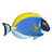 Sim AQUARIUM 2(魚缸桌面屏保) v2.6最新版