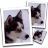 SimilaEnlarger(圖片無損放大工具) v0.9.0免安裝版
