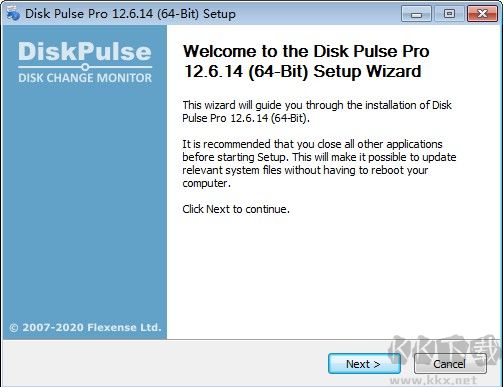 Disk Pulse Pro(磁盤監測工具)