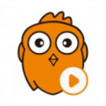 網課查題助手 v1.2綠色版
