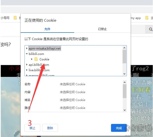 嗶哩嗶哩視頻下載器
