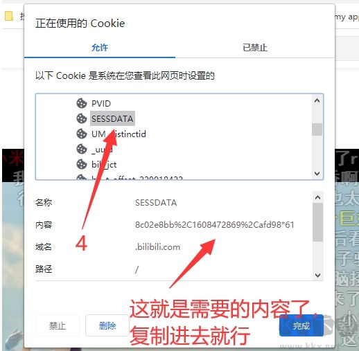 嗶哩嗶哩視頻下載器