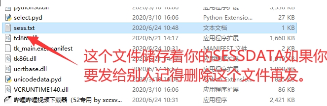 嗶哩嗶哩視頻下載器
