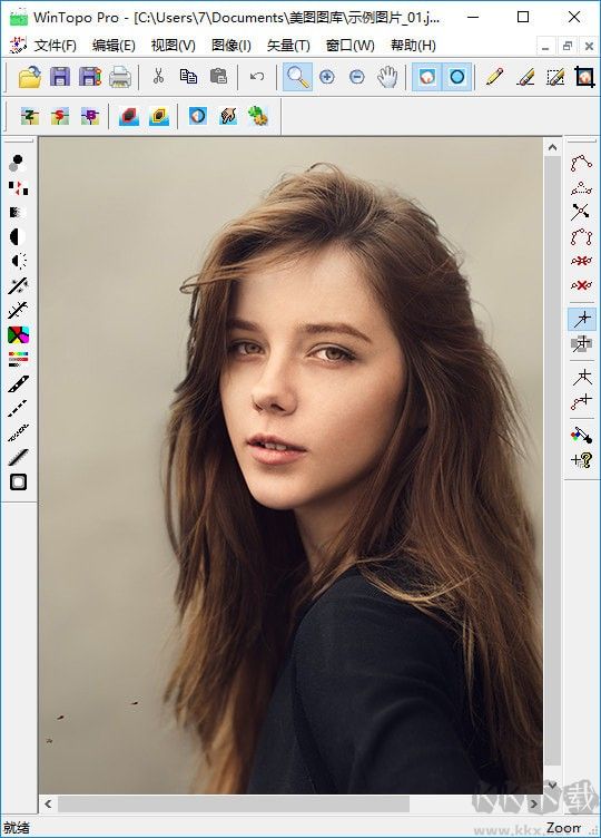 CAD轉JPG軟件(WinTopo Pro)