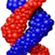 DNAStar v7.1綠色破解版