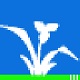 譜譜風(fēng)打譜軟件 v3.4破解版