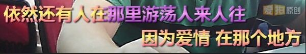 拍大師官方下載