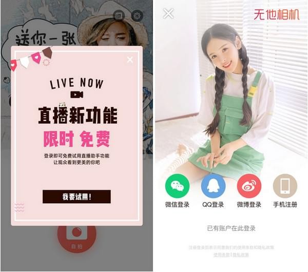 無他伴侶電腦版