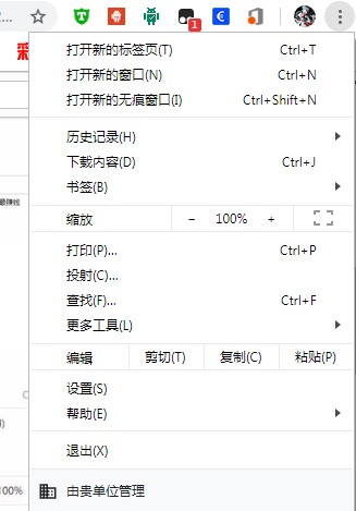谷歌瀏覽器官方綠色版使用說明4