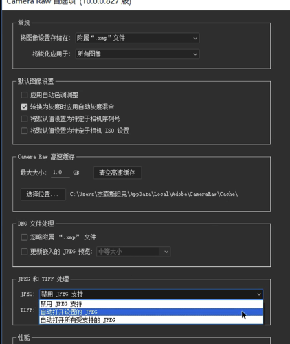 Camera Raw怎么批量處理