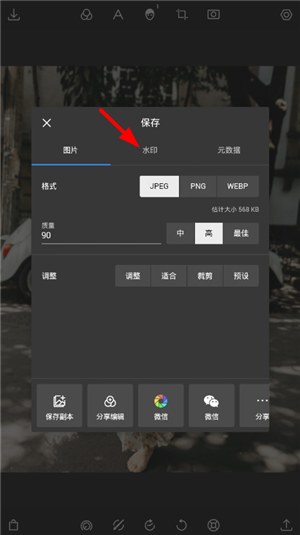 潑辣修圖網頁版怎么去水印