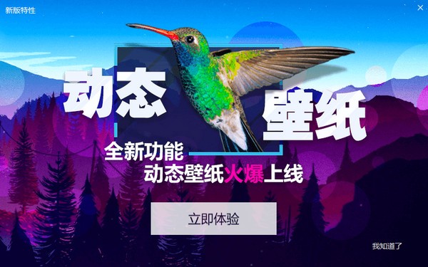 小鳥壁紙破解版