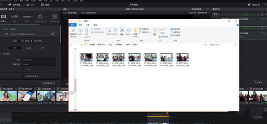 達芬奇調色軟件使用幫助6