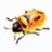Firebug(火狐瀏覽器網頁調試工具) v3.3.0 中文版
