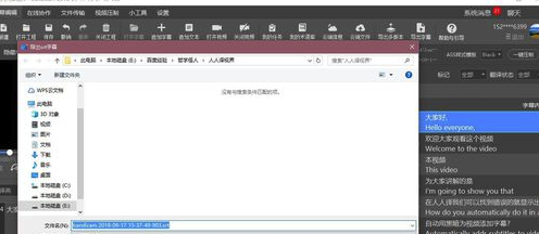 人人譯視界客戶端怎樣導(dǎo)出不同格式的字幕文件