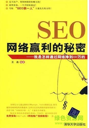 seo網絡贏利的秘密pdf