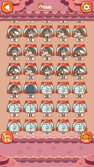 迷宮貓Rookie