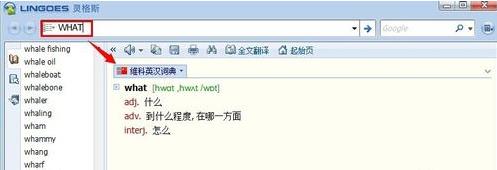 靈格斯詞霸