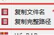 批量復(fù)制文件名路徑工具 v1.0綠色版