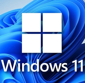 Windows11精簡版優(yōu)化版 (22000.348)