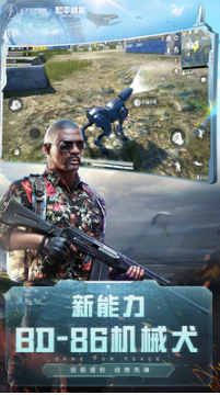 和平精英國際服