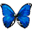 BkViewer v5.7.5. 0 綠色版