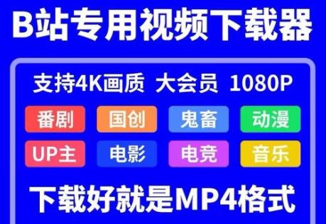 B站下載器_嗶哩嗶哩視頻下載器大全