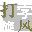 打字旋風(fēng) 綠色破解版