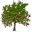 WinDirStat v1.1.4 綠色免安裝版
