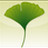 Ginkgo CADx Pro v3.7.3 中文免費版