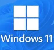 Win11數(shù)字權(quán)利激活工具 V2023.6