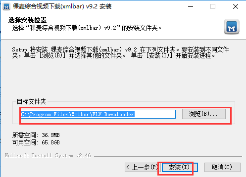 稞麥綜合視頻站下載器