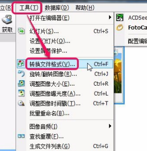ACDSee免費版下載