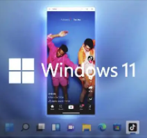 win11安卓子系統(tǒng)(Android 12.1) 最新獨立安裝包