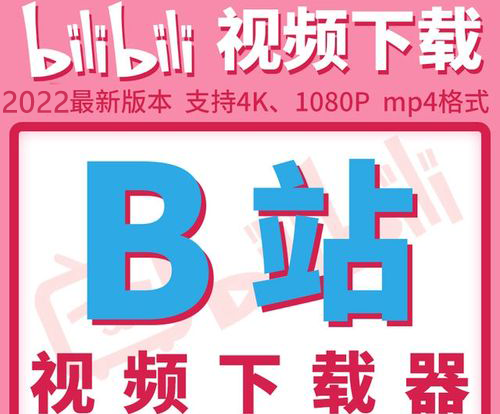 嗶哩嗶哩視頻解析下載工具_嗶哩嗶哩視頻下載器大全