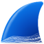 wireshark中文版 v4.0.6漢化綠色版