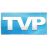 TVPaint Animation Pro 10 V10.0.16漢化破解版