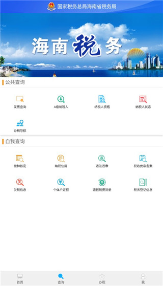 海南電子稅務