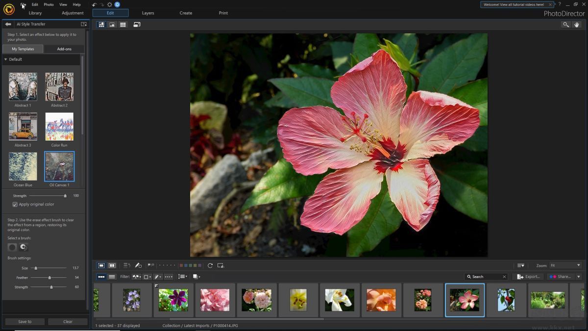Cyber??Link PhotoDirector Ultra照片編輯綠色便攜版