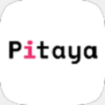 Pitaya火龍果電腦版 v4.8.0
