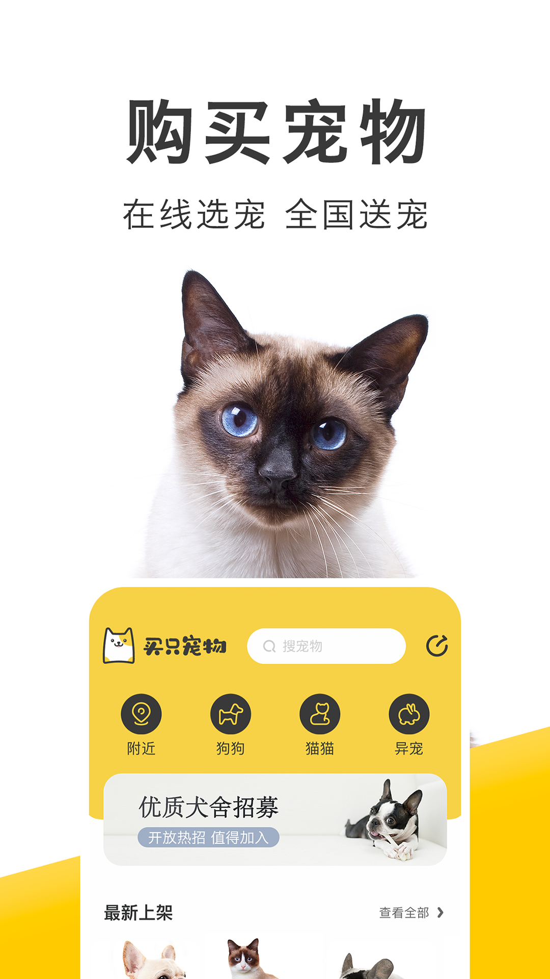 買只寵物app安卓版