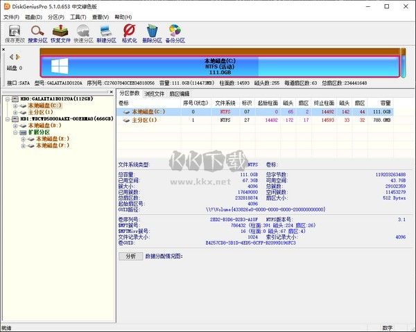 DiskGenius Pro專業(yè)版