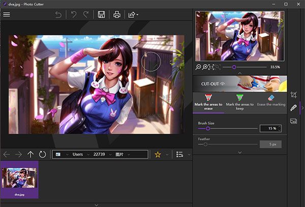 InPixio Photo Cutter免費版