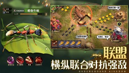 小小蟻國手游安卓版
