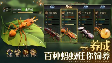 小小蟻國手游安卓版