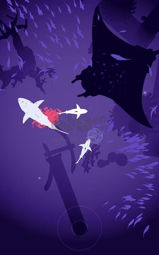 狩獵魚群2024最新版